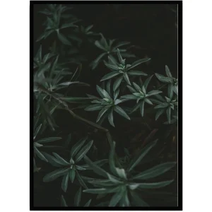 Poster Leaves 2
