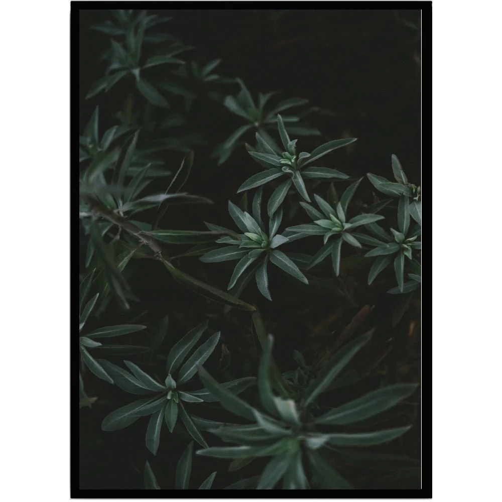 Poster Leaves 2