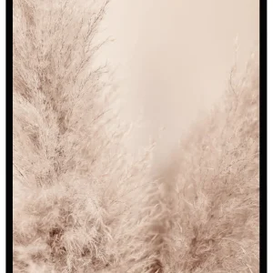 Poster Pampas