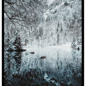 Poster Winter wonderland