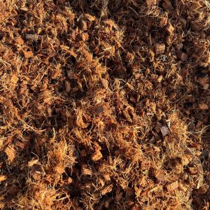 Kokosfiber